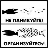 Прелести командной работы: полнолуние во Льве 24 января