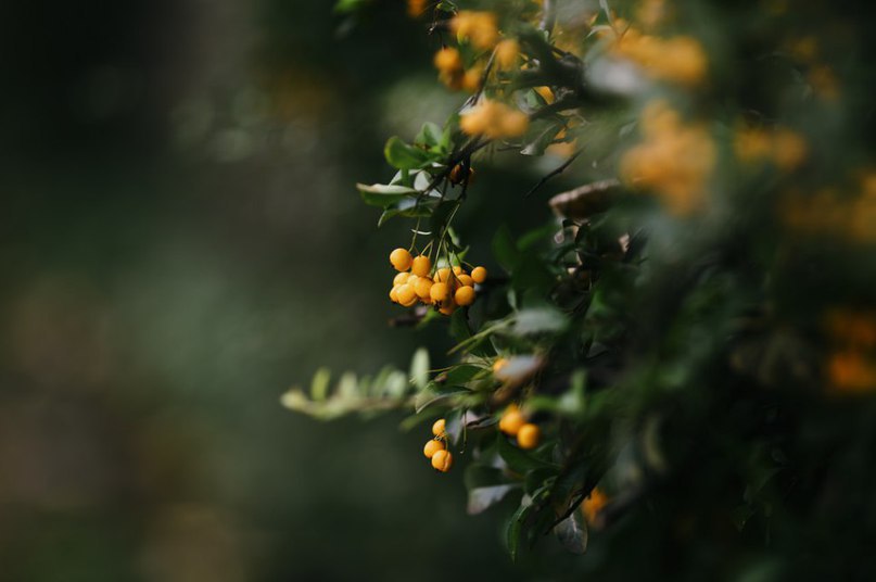 Прогноз на неделю: 25.09 – 01.10