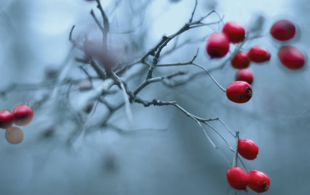 Прогноз на неделю: 06.11 – 12.11